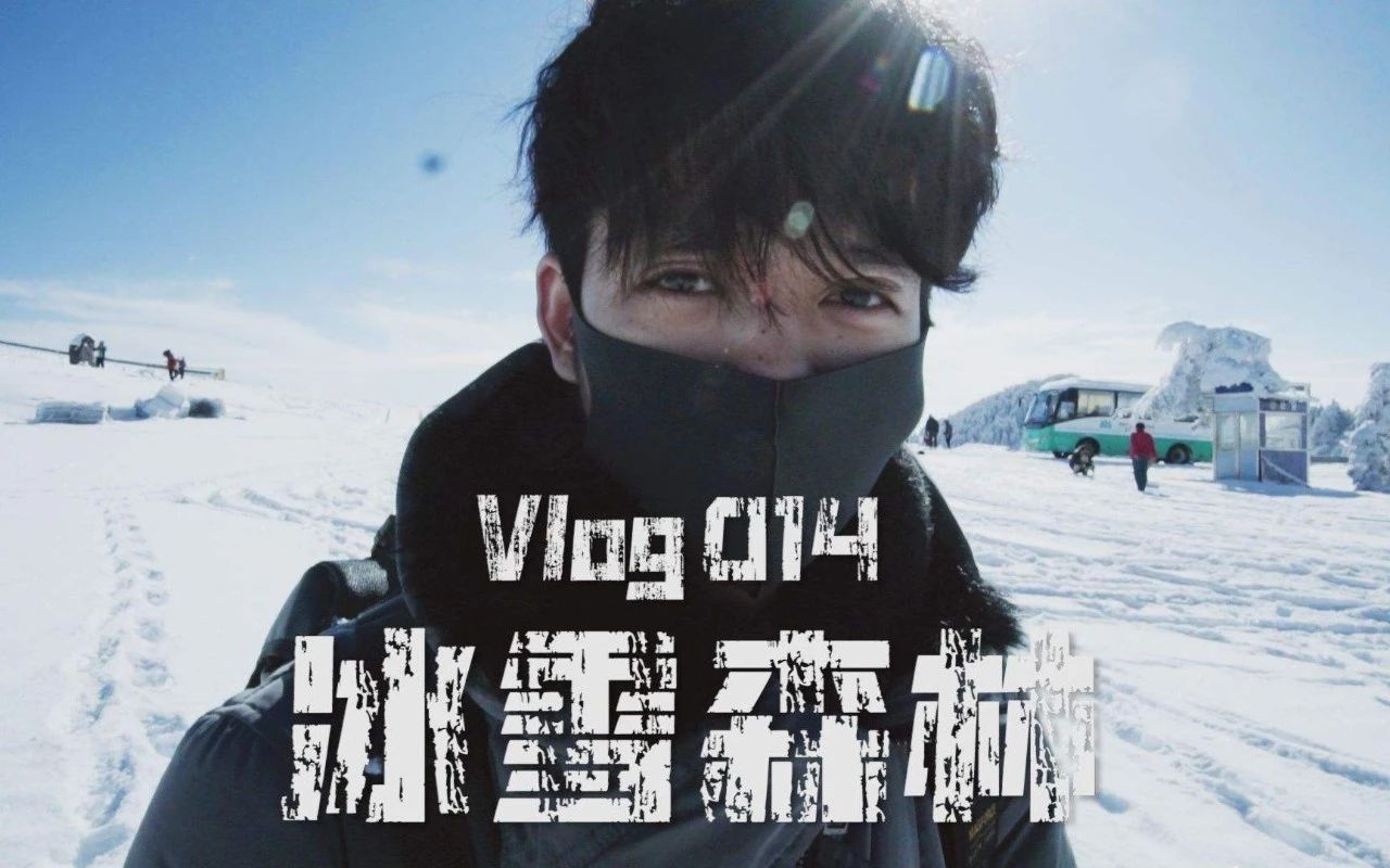 800多组PR网红vlog无缝转场预设+最新500首vlog音乐，一次性全拿走！