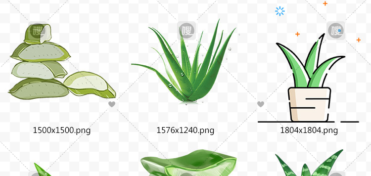 【PNG免抠 】手绘卡通芦荟植物盆栽花盆水彩仙人掌插画设计素材
