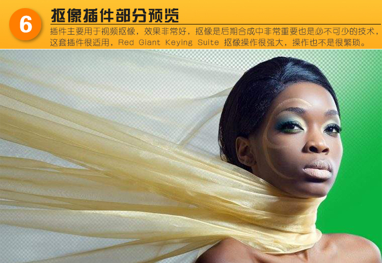 【12套齐全】PS/AI/CDR/PR/AE/LR/FCPX/C4D/ED插件全套合集（支持WIN-MAC）