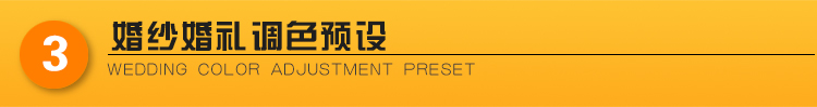 【12套齐全】PS/AI/CDR/PR/AE/LR/FCPX/C4D/ED插件全套合集（支持WIN-MAC）