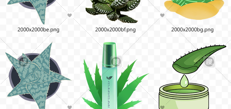 【PNG免抠 】手绘卡通芦荟植物盆栽花盆水彩仙人掌插画设计素材