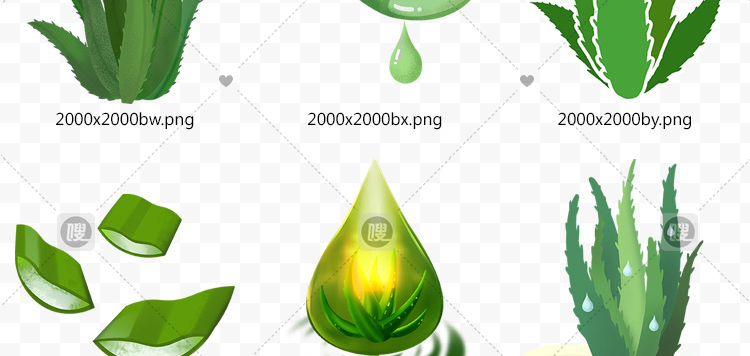 【PNG免抠 】手绘卡通芦荟植物盆栽花盆水彩仙人掌插画设计素材