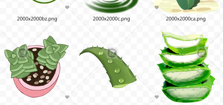 【PNG免抠 】手绘卡通芦荟植物盆栽花盆水彩仙人掌插画设计素材