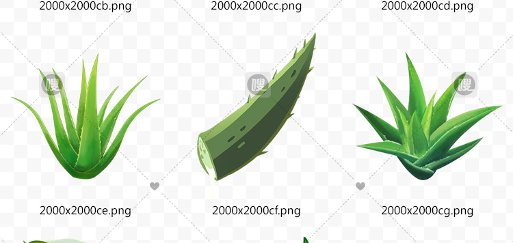 【PNG免抠 】手绘卡通芦荟植物盆栽花盆水彩仙人掌插画设计素材