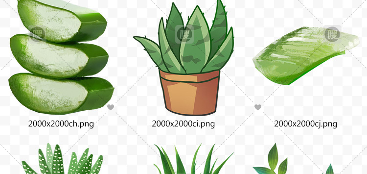 【PNG免抠 】手绘卡通芦荟植物盆栽花盆水彩仙人掌插画设计素材