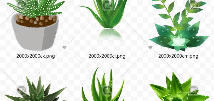 【PNG免抠 】手绘卡通芦荟植物盆栽花盆水彩仙人掌插画设计素材