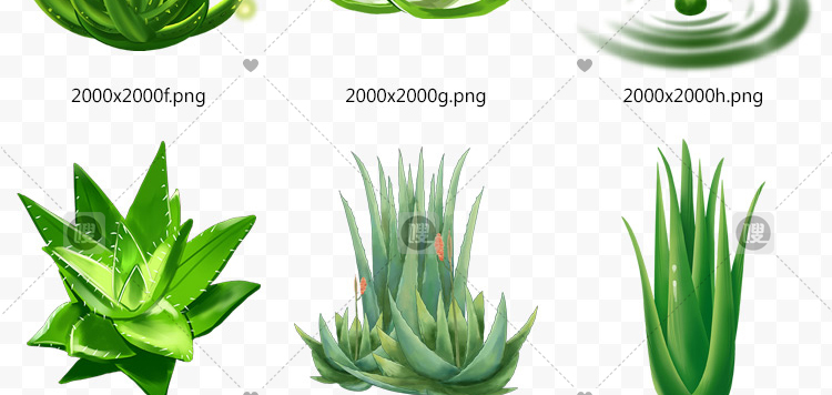 【PNG免抠 】手绘卡通芦荟植物盆栽花盆水彩仙人掌插画设计素材