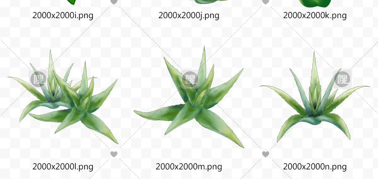 【PNG免抠 】手绘卡通芦荟植物盆栽花盆水彩仙人掌插画设计素材