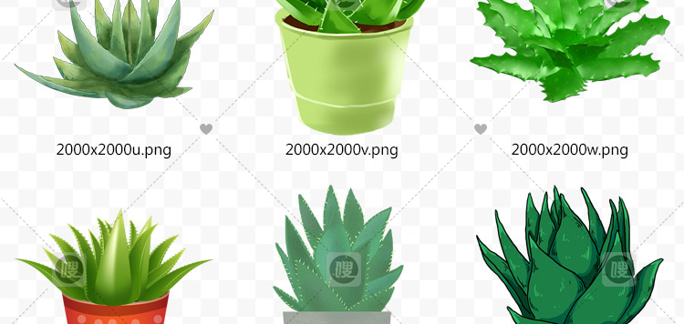 【PNG免抠 】手绘卡通芦荟植物盆栽花盆水彩仙人掌插画设计素材