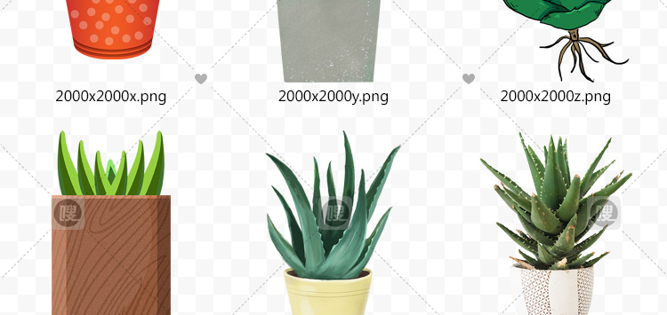 【PNG免抠 】手绘卡通芦荟植物盆栽花盆水彩仙人掌插画设计素材