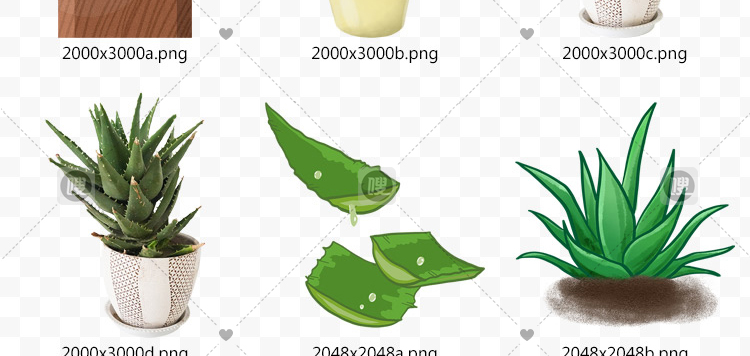 【PNG免抠 】手绘卡通芦荟植物盆栽花盆水彩仙人掌插画设计素材