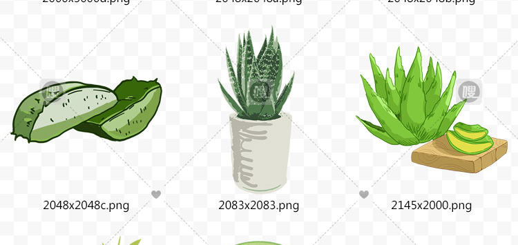 【PNG免抠 】手绘卡通芦荟植物盆栽花盆水彩仙人掌插画设计素材