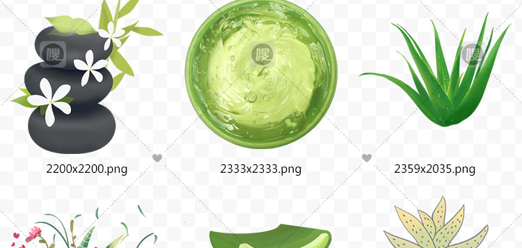 【PNG免抠 】手绘卡通芦荟植物盆栽花盆水彩仙人掌插画设计素材
