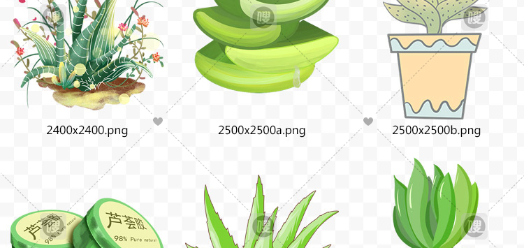 【PNG免抠 】手绘卡通芦荟植物盆栽花盆水彩仙人掌插画设计素材