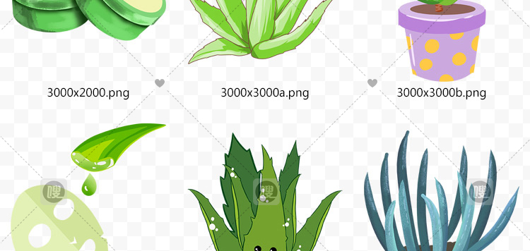 【PNG免抠 】手绘卡通芦荟植物盆栽花盆水彩仙人掌插画设计素材