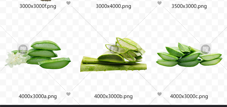 【PNG免抠 】手绘卡通芦荟植物盆栽花盆水彩仙人掌插画设计素材