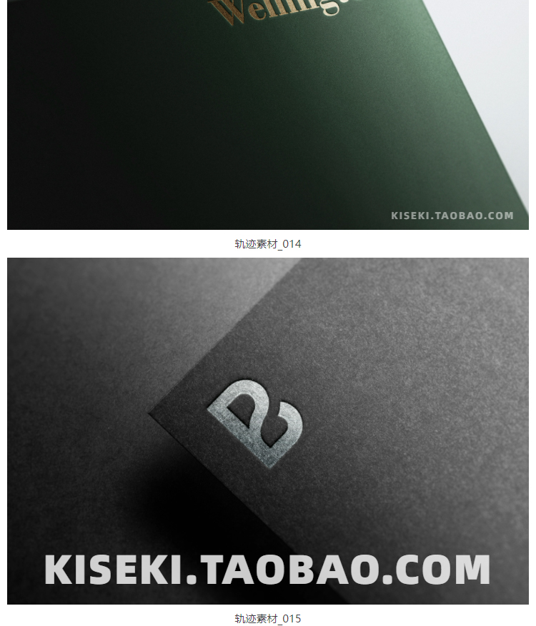 50款高端精选LOGO样机素材
