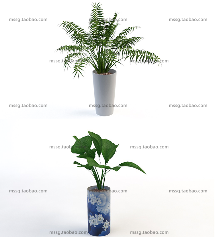 12款室内装饰植物C4D模型素材