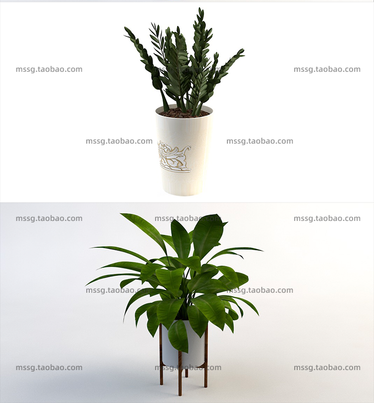 12款室内装饰植物C4D模型素材