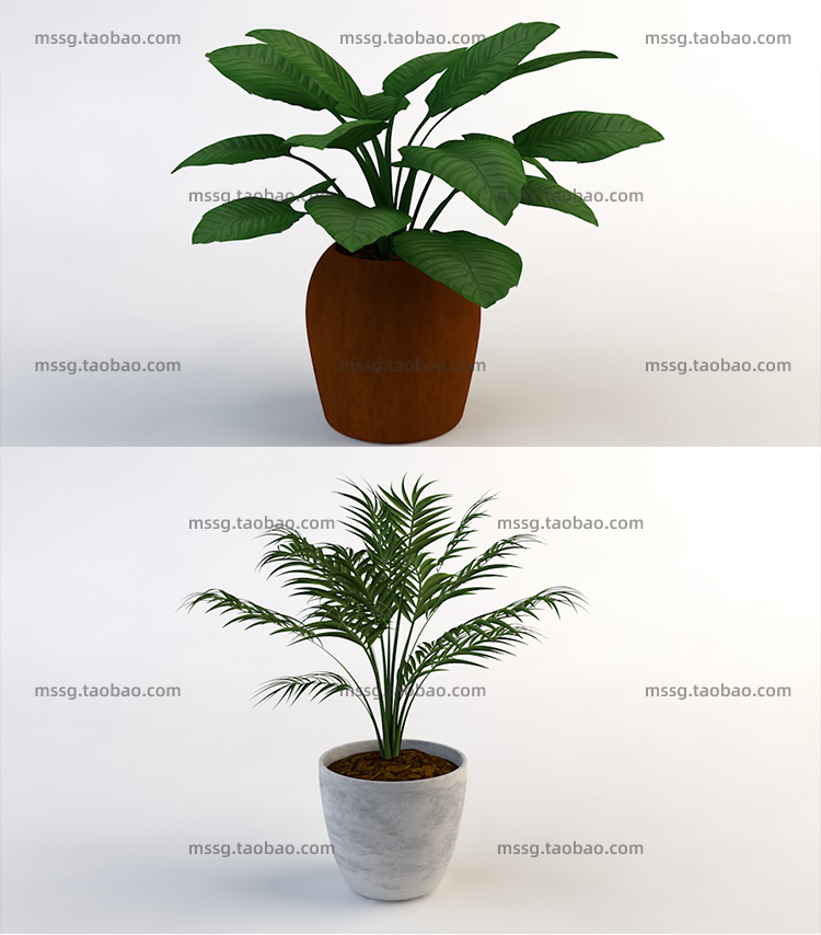 12款室内装饰植物C4D模型素材