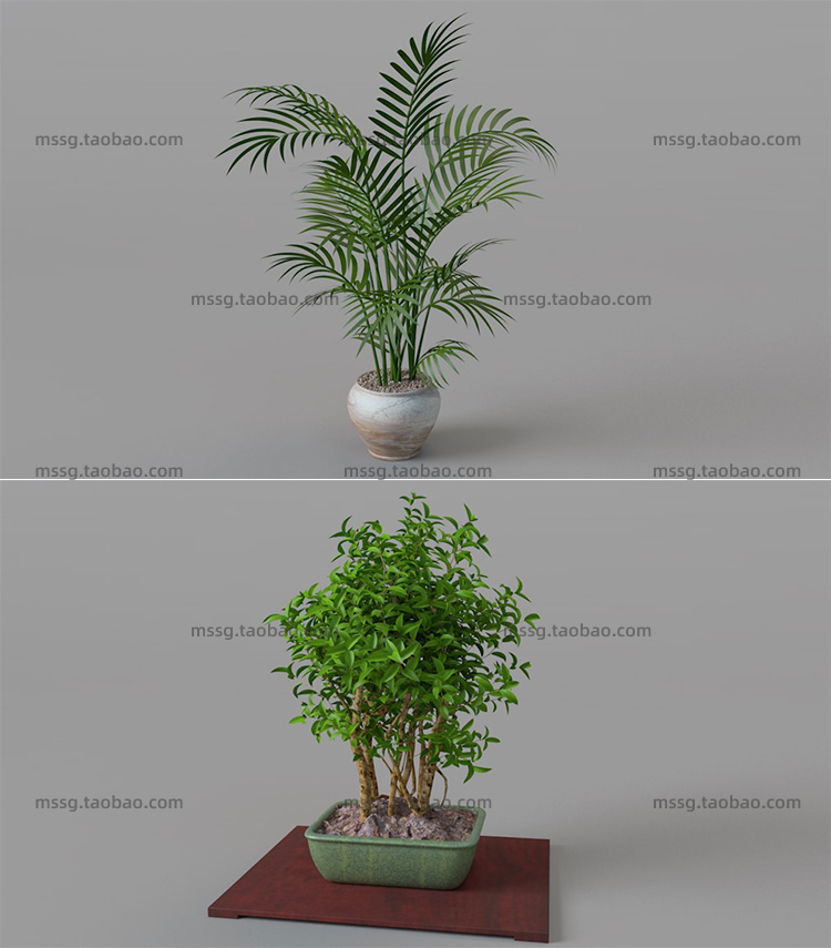 12款室内装饰植物C4D模型素材