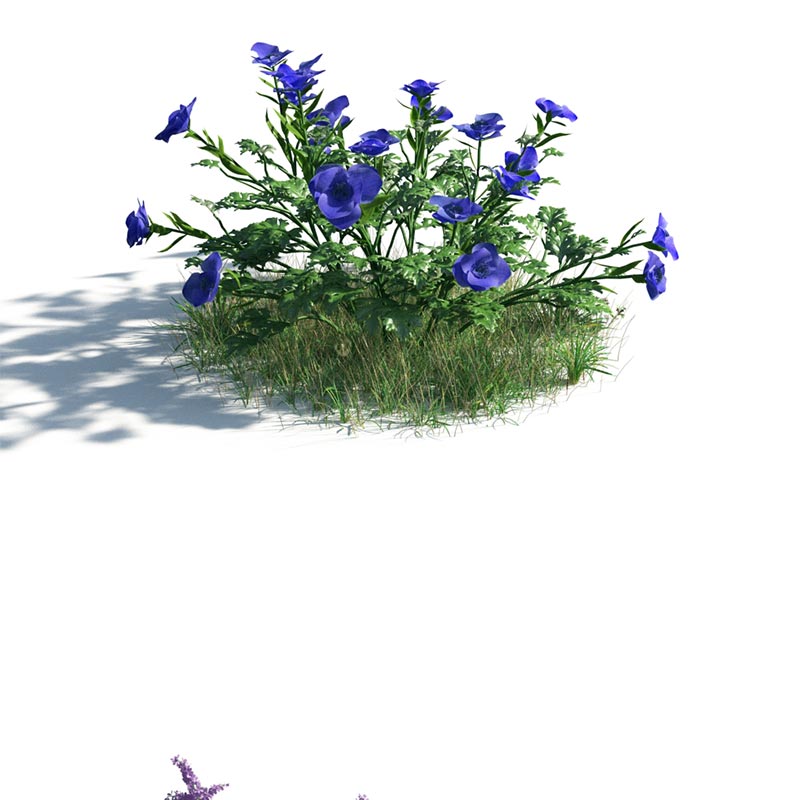 54组树木花朵植物盆栽景观植物花卉C4D模型3D三维素材含材质库