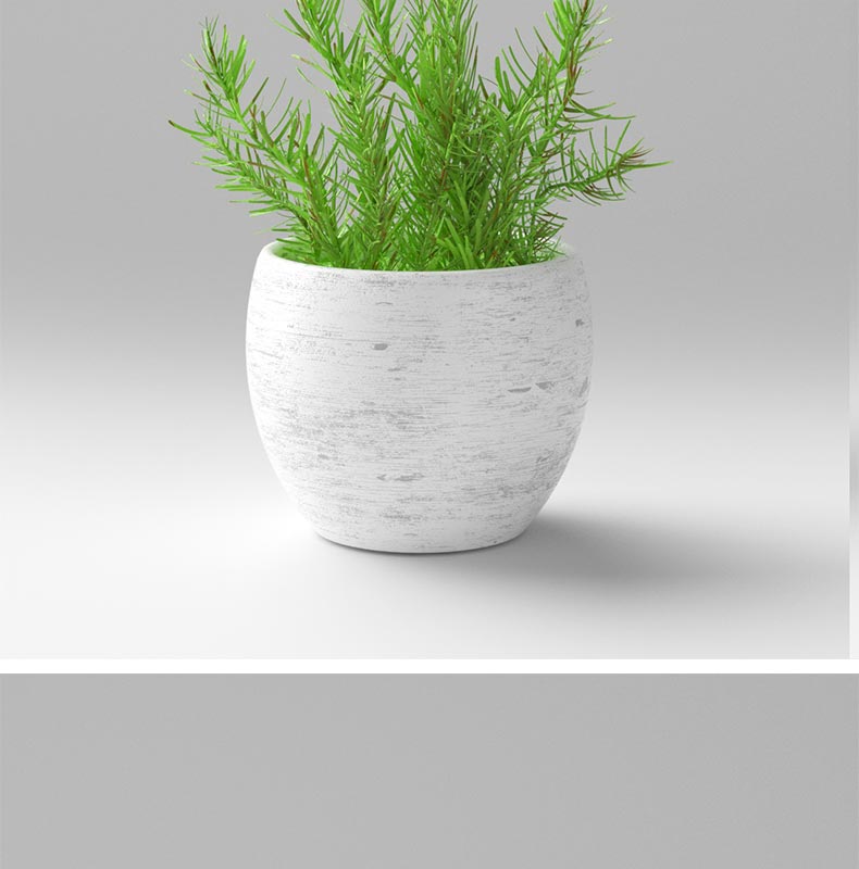 16款C4D室内装饰ins多肉植物木棉花玻璃花瓶模型素材OC渲染