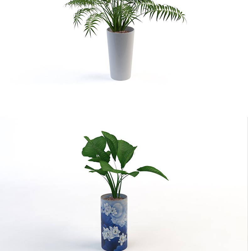 12款室内装饰植物C4D模型素材