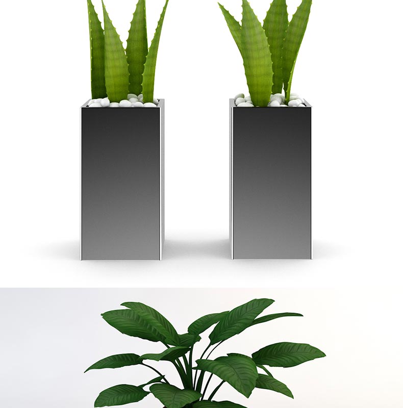 12款室内装饰植物C4D模型素材