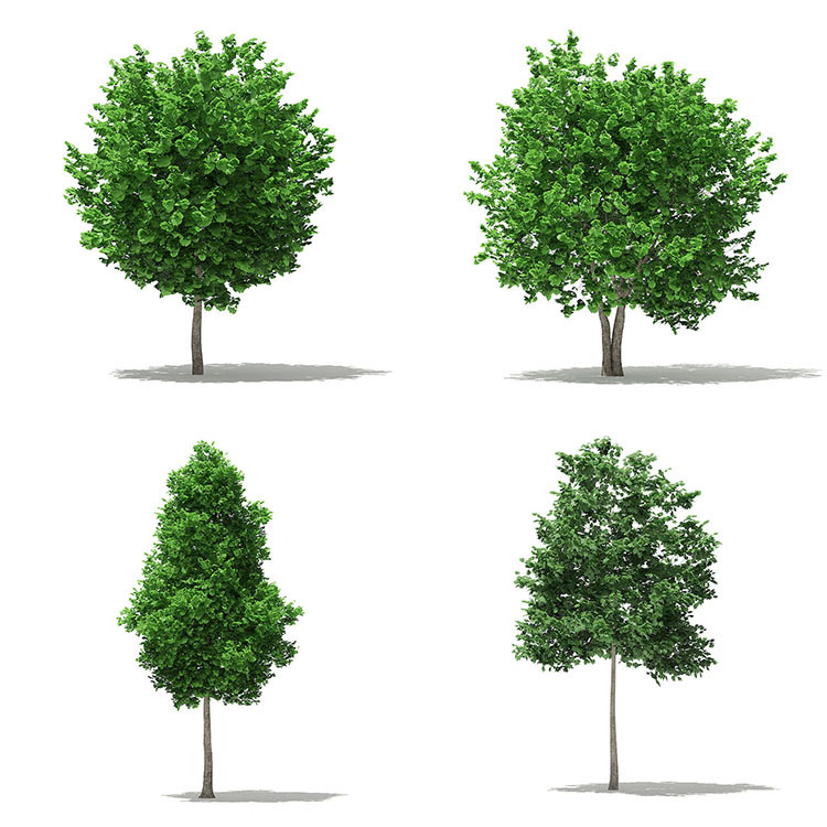 【彩色绿植模型】32个室外园林装饰彩色绿植物大树木C4D模型OBJ 3D素材集