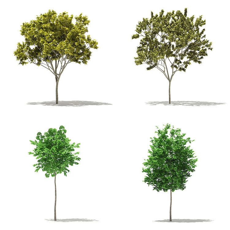 【彩色绿植模型】32个室外园林装饰彩色绿植物大树木C4D模型OBJ 3D素材集
