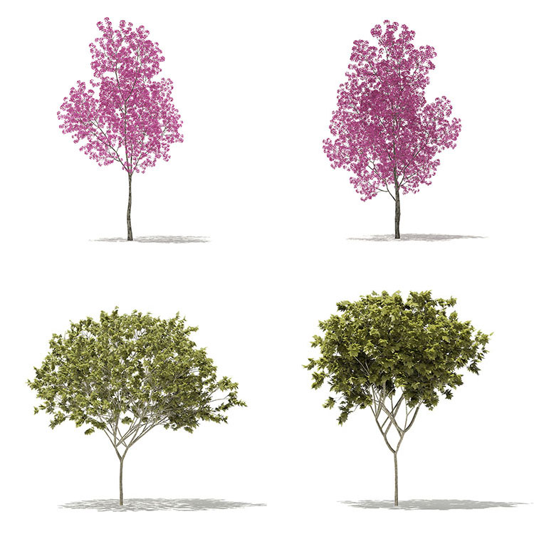 【彩色绿植模型】32个室外园林装饰彩色绿植物大树木C4D模型OBJ 3D素材集