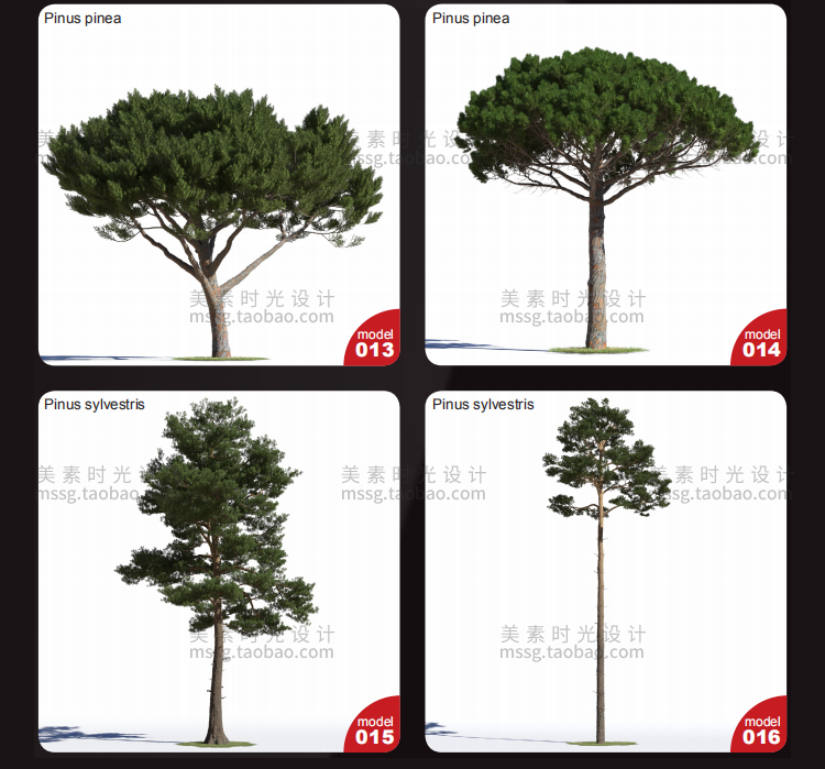 【C4D模型】40款针叶树木C4D模型素材集