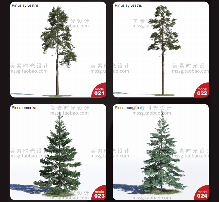 【C4D模型】40款针叶树木C4D模型素材集