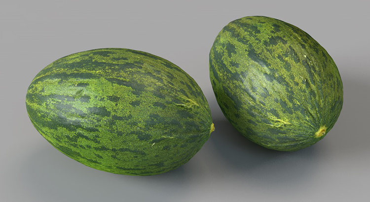 【C4D素材】18款哈密瓜凤梨柠檬牛油果荔枝石榴桔子芒果水果C4D模型3D素材