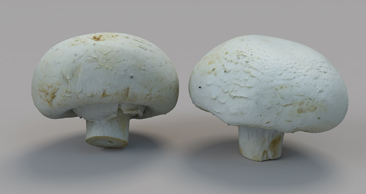 【C4D模型】9组C4D食物模型素材集