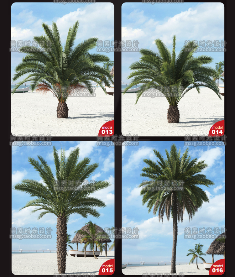 40款C4D热带植物树木棕榈树椰子树