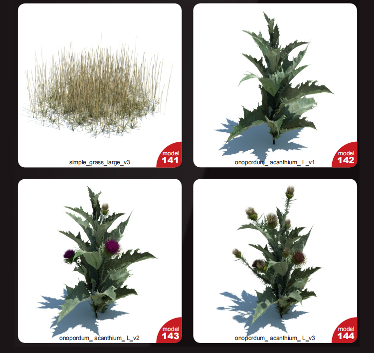 148款野外植物花草C4D模型素材集