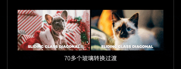 1000款Pr专业剪辑转场卡点模板