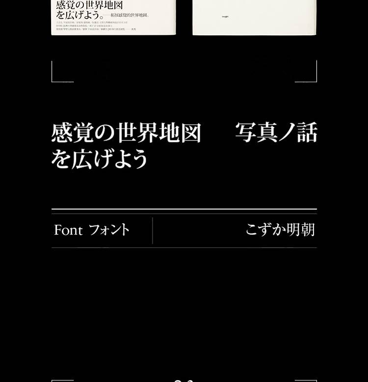 O1CN01ZZ069K2BLWlqBFppk_3440208322