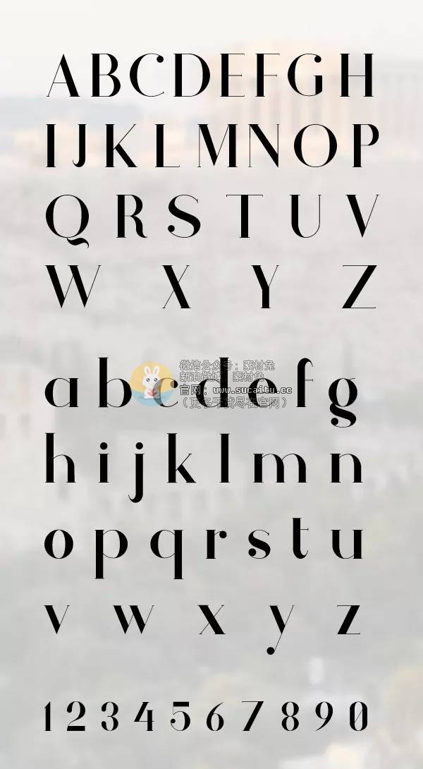 10kgzlywzt14