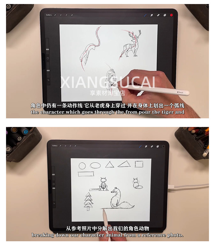 Procreate绘制动物角色姿势卡通插画视频教程