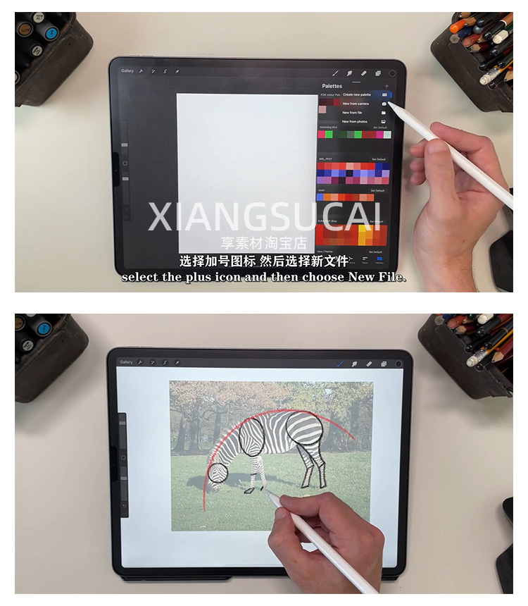 Procreate绘制动物角色姿势卡通插画视频教程