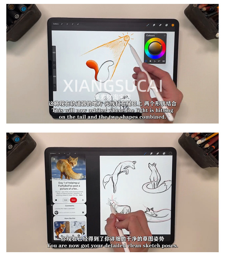 Procreate绘制动物角色姿势卡通插画视频教程