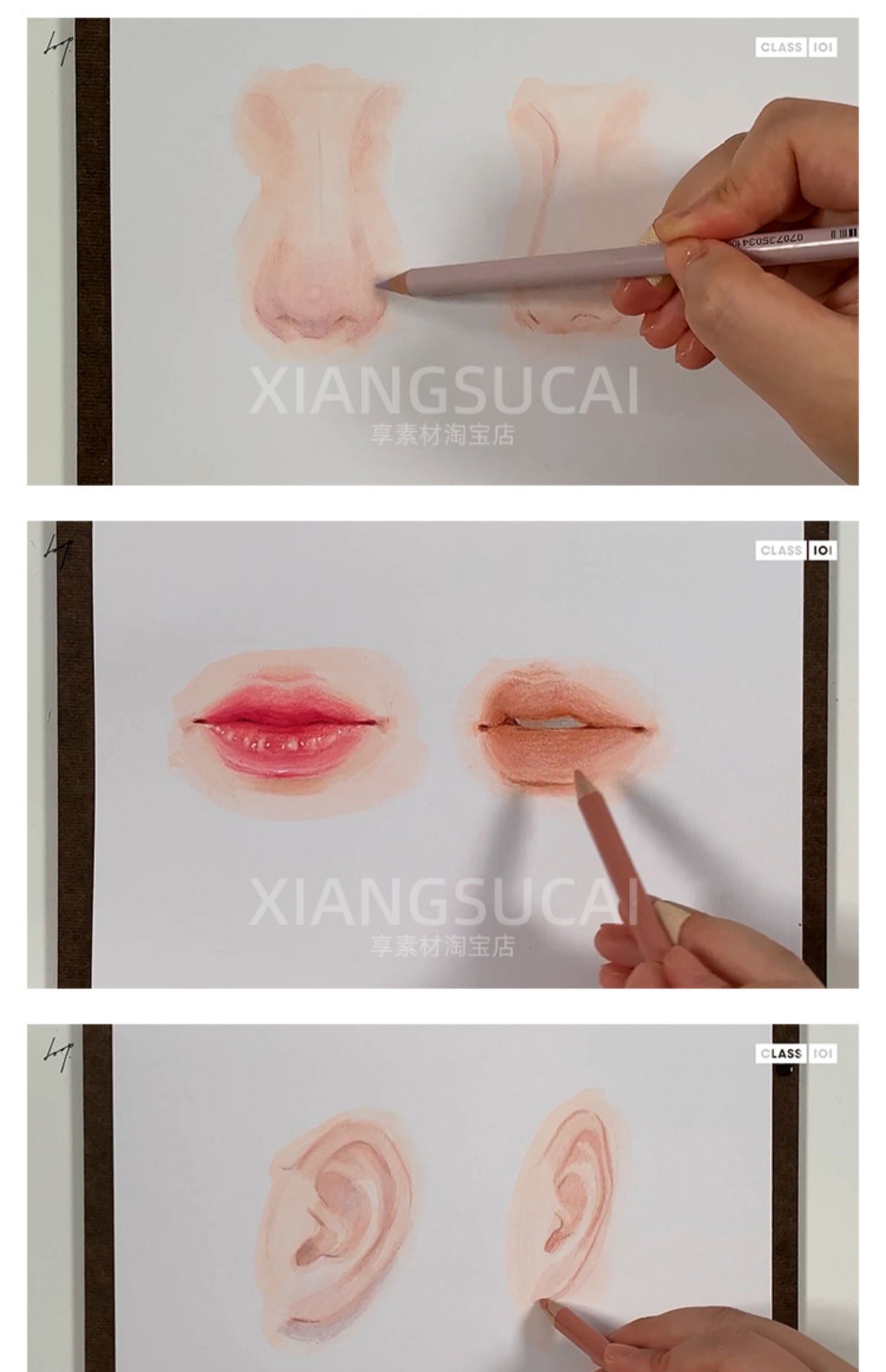 人物肖像画色彩水彩运用大师级视频教程