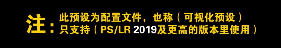 12款荒井新生LR 昭和港风复古人像ACR配置文件LUT滤镜PS颜色查找预设