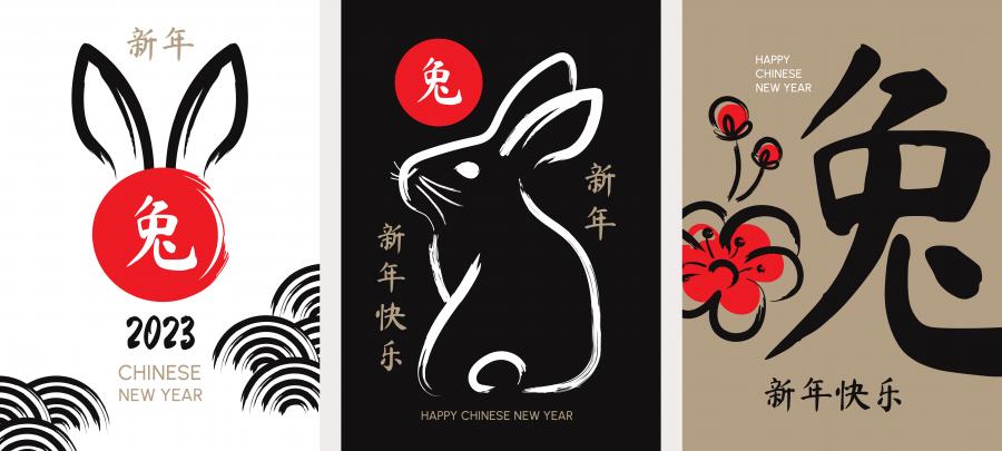 6款兔子兔年2023年春节新春背景EPS格式