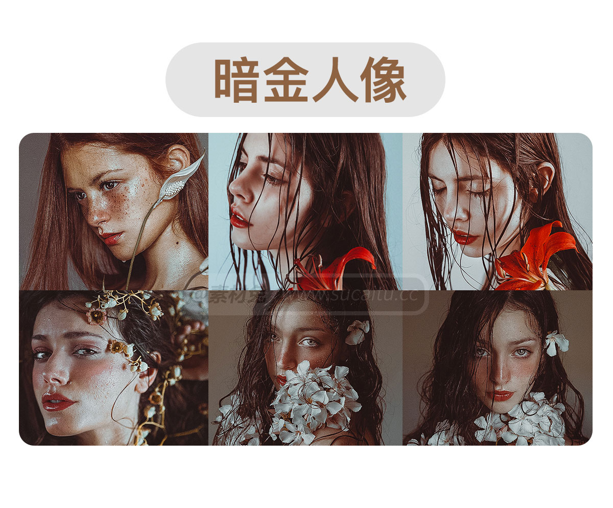 精选16888款LR预设PS滤镜PR调色手机Lightroom达芬奇FCPX剪映视频LUT插件人像预设