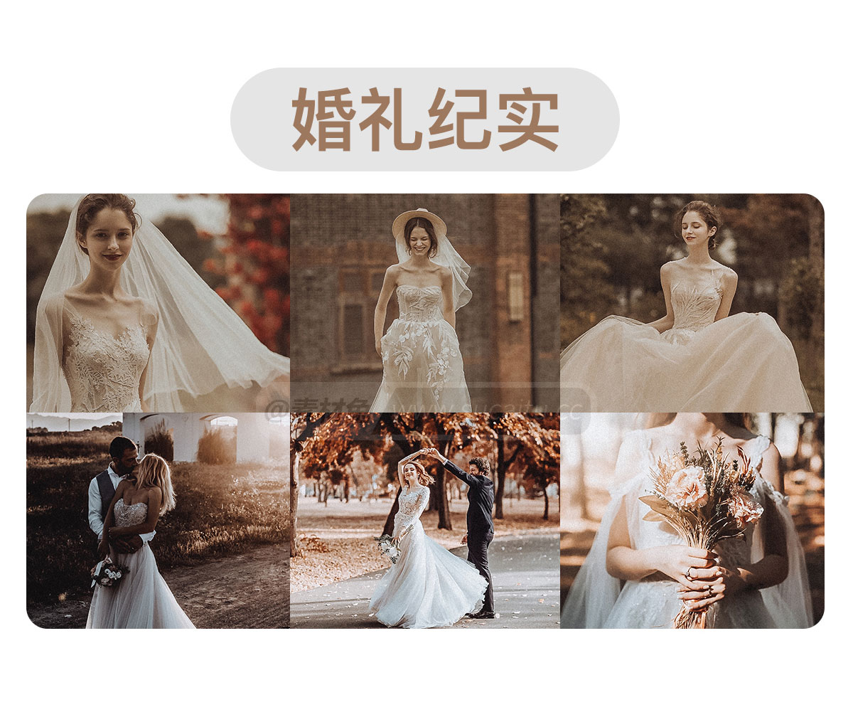 精选16888款LR预设PS滤镜PR调色手机Lightroom达芬奇FCPX剪映视频LUT插件人像预设