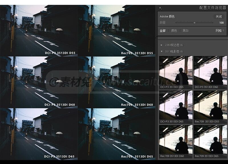3513电影卷岩井俊二配置文件预设 LUTS 日系胶片电影卷PSCamera Raw预设LR预设